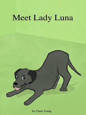 cover image of Meet Lady Luna